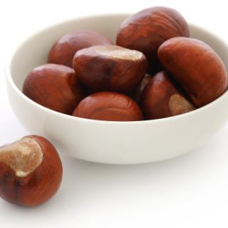 Ekstrakt z kasztanowca zwyczajnego