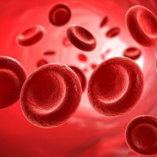 Wzmacnia ściany naczyń krwionośnych